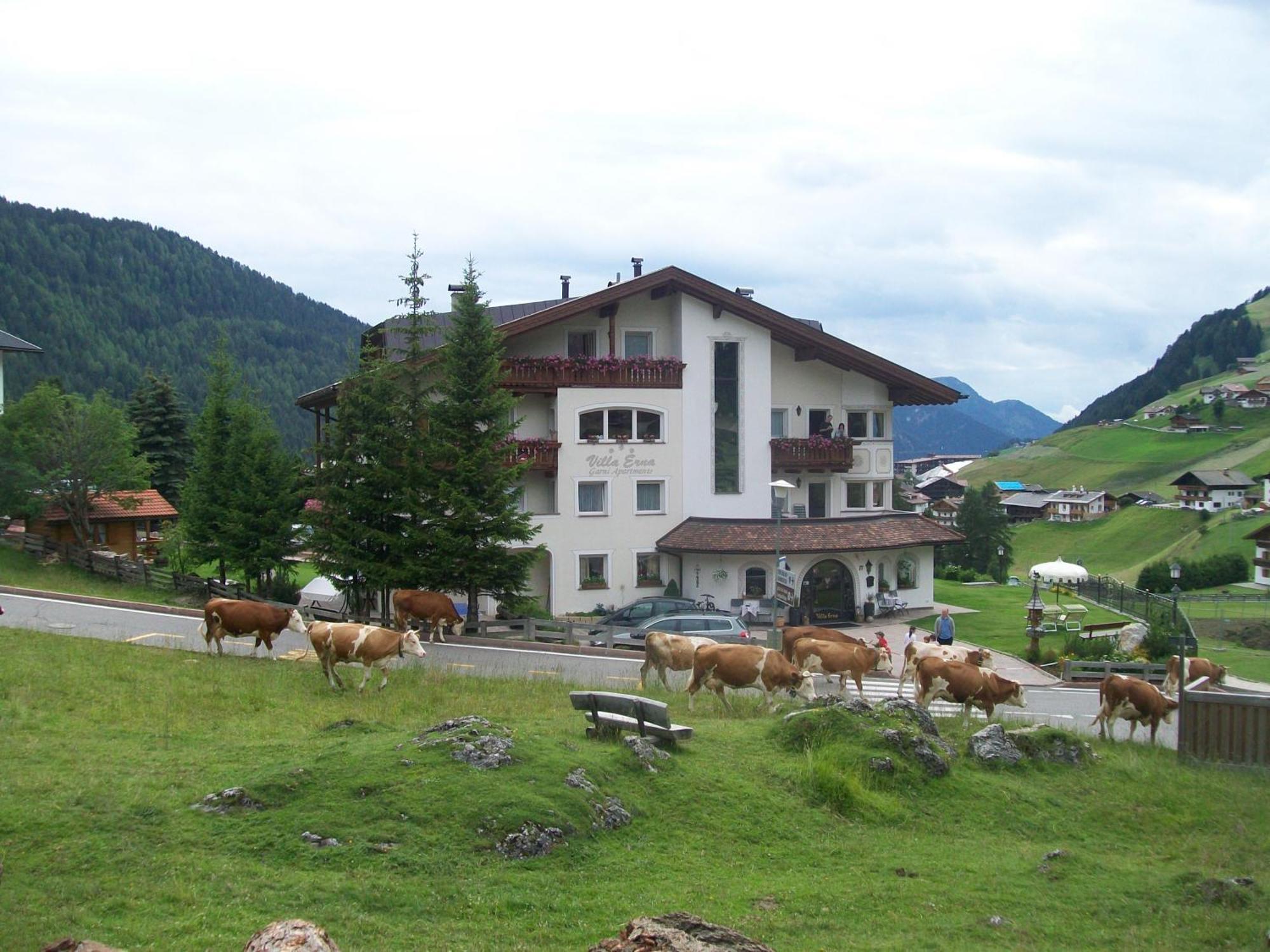 Garni Villa Erna Сельва-ді-Валь-Гардена Екстер'єр фото